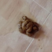 shit on the floor head on ii hd ainarax