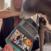 fart compilation amy_farts