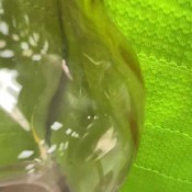 thrift and pee in bought items! vibewithmolly