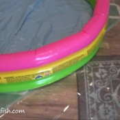 a month of my shit - complete adventure! samantha starfish