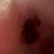 obey and serve poop hd The fart babes