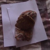 oxana load tights in lines the fart babes