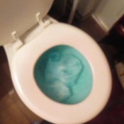 over the shoulder view dump, big smelly one! sexyscatforyou