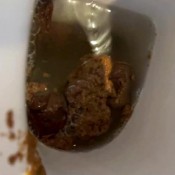 full of shit toilet hd the fart babes