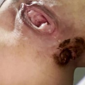 clean me after poop hd the fart babes