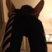 eat my piss and shit - spoiled princess araya hd filth fetish studios