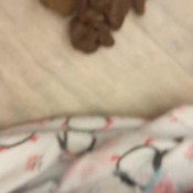 Wank To My Turds Hd Poogirlsofia DiaperGirlSofia