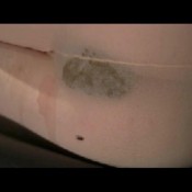 aliona sleep pee poop the fart babes