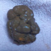 wank to my extreme close ups of my shit hd poogirlsofia diapergirlsofia