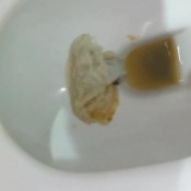 Devils Dish, Tips Away Potty Mess Poogirlsofia Diapergirlsofia