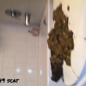 spontaneous poll controlled shit hd ebonybooty49