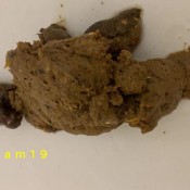 shit edge of the bathtub hd marinayam19