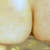 freckledred reverse squat scat in toilet