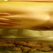 zarzar01 - enormous dump in the muffin box! coils!