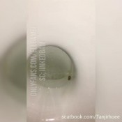 tanjirhoee do you like clean butthole or dirty-