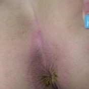 as my toilet, you are also my toilet paper mistress zaida dominatrixzaida