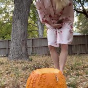 pulsiferpaprocki jack o lantern poo