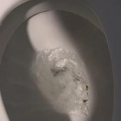 shasta shits and public classy n gassy classyngassy