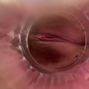 pov youre a cup i pee in divinebabe