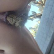 kamasutracandy when nature calls kamasutra candy