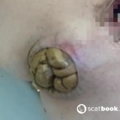 the constipation diaries, part 3 big log with gaping asshole kitty skatt