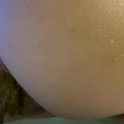 strawberryplumpcake poodiary day 7