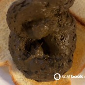 shit sandwich and feet worship tina amazon