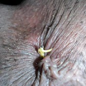 giantess cirilla - hidden souvenir hd giantesscirilla