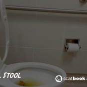 bristolstool i try out a different method of using the toilet