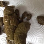 Mochalamulata Sitting On Top Of You. Shitting In Your Mouth