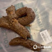 Pulsiferpaprocki Ex-husband Watches Me Shit On Fridge Pulsifer Paprocki