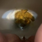 Yourfavoritefartgirl More Ice Cream