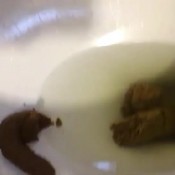 David212 Mufasa Huge Logs Droppingapples