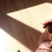 Amethyst Dirty Hairy Crumblicious Sabrina Dacos