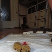 Huge Turd And Blooddpiss Amysinclair