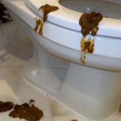 Iamkapri Hotel Bathroom Destroyed Kapri Styles