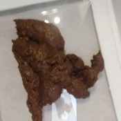 Scatbella Scat Pov Domina Bella