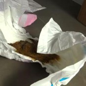 Asiandiapercutie Changing My Stinky Diapee