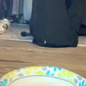 Freckled Feet Post-workout Poo