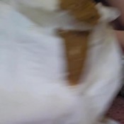 Urprincessluna Show N Tell PrincessBabyLuna