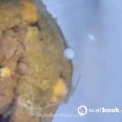 Pulsiferpaprocki Eye Contact W Neighbor Poop Pulsifer Paprocki