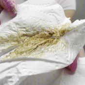 Taking A Big Shit On You Whilst You Sniff My Asshole Doloresnaughties Princess Dolores