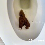 Pulsiferpaprocki Kava Shit Pulsifer Paprocki