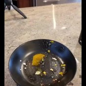 Chicagodomme Good Morning