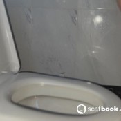 Filthyhen Pure Diarrhoea FilthyJapaneseGirl