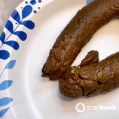 Pulsiferpaprocki Pps Faves-11 Shit Compilation 8 Pulsifer Paprocki