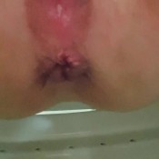 Pulsiferpaprocki 12 Front View Poops Pulsifer Paprocki