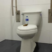 Elle_clark26 Big Messy In Public Bathroom 12 Elle Clark