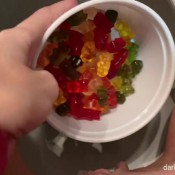 Fenix10 Ositos Y Gelatina