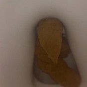 Deep_impact 3 Poops 1 Day